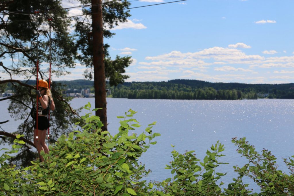 metsä-, järvimaisema 